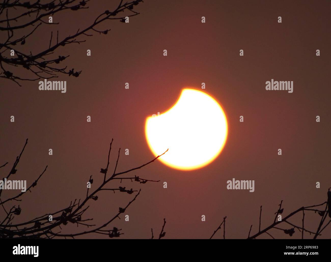 (190106) -- JINING, Jan. 6, 2019 -- A partial solar eclipse is observed as the moon passes in front of the sun in Dashu Township of Zoucheng City, east China s Shandong Province, Jan. 6, 2019. ) CHINA-PARTIAL SOLAR ECLIPSE (CN) WangxQisheng PUBLICATIONxNOTxINxCHN Stock Photo