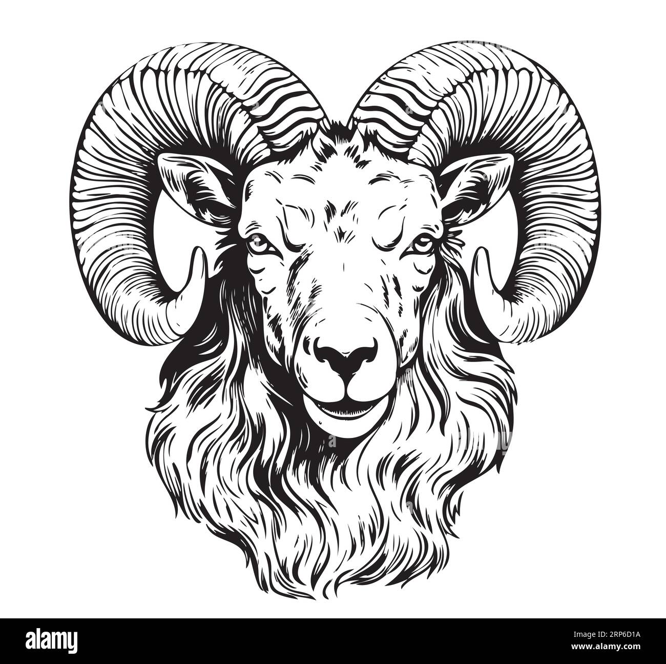 Farm ram face hand drawn sketch Vector Stock Vector Image & Art Alamy