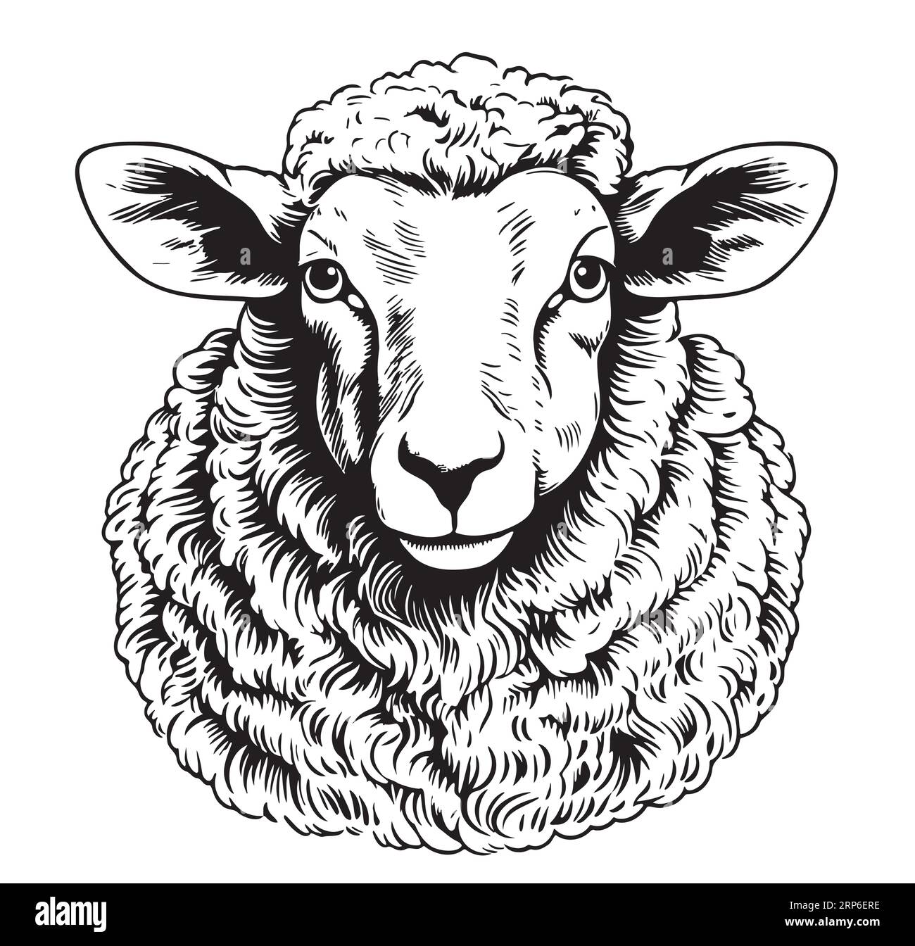 Farm sheep face hand drawn sketch Vector Stock Vector