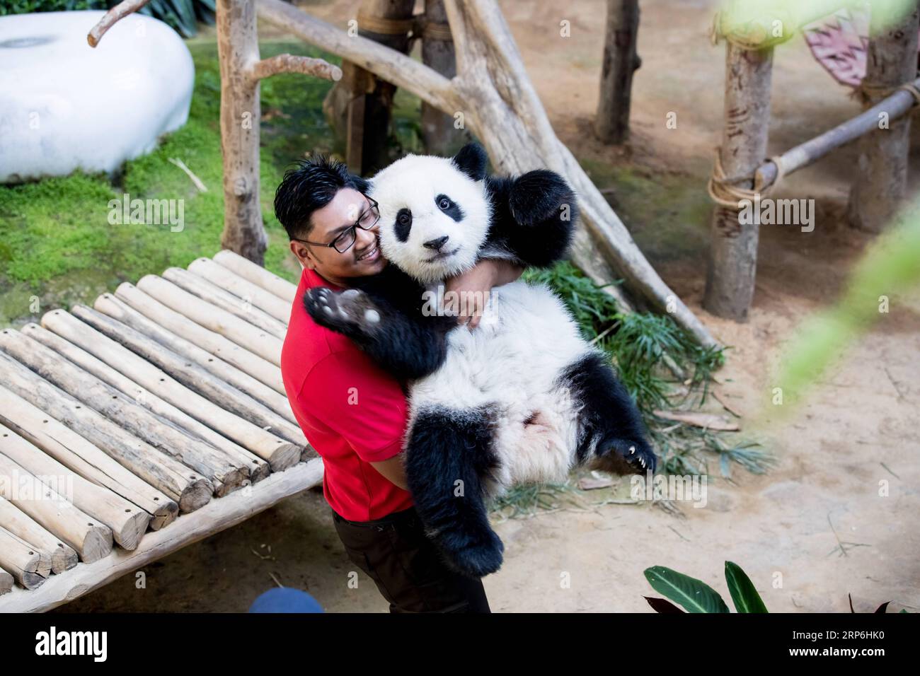 ぱんだ Panda keeper hi-res stock photography and images - Alamy