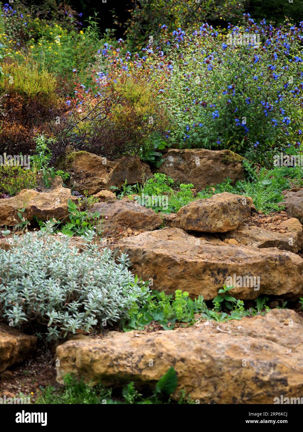 Rockery garden, Upton House, Warwickshire, UK Stock Photo - Alamy