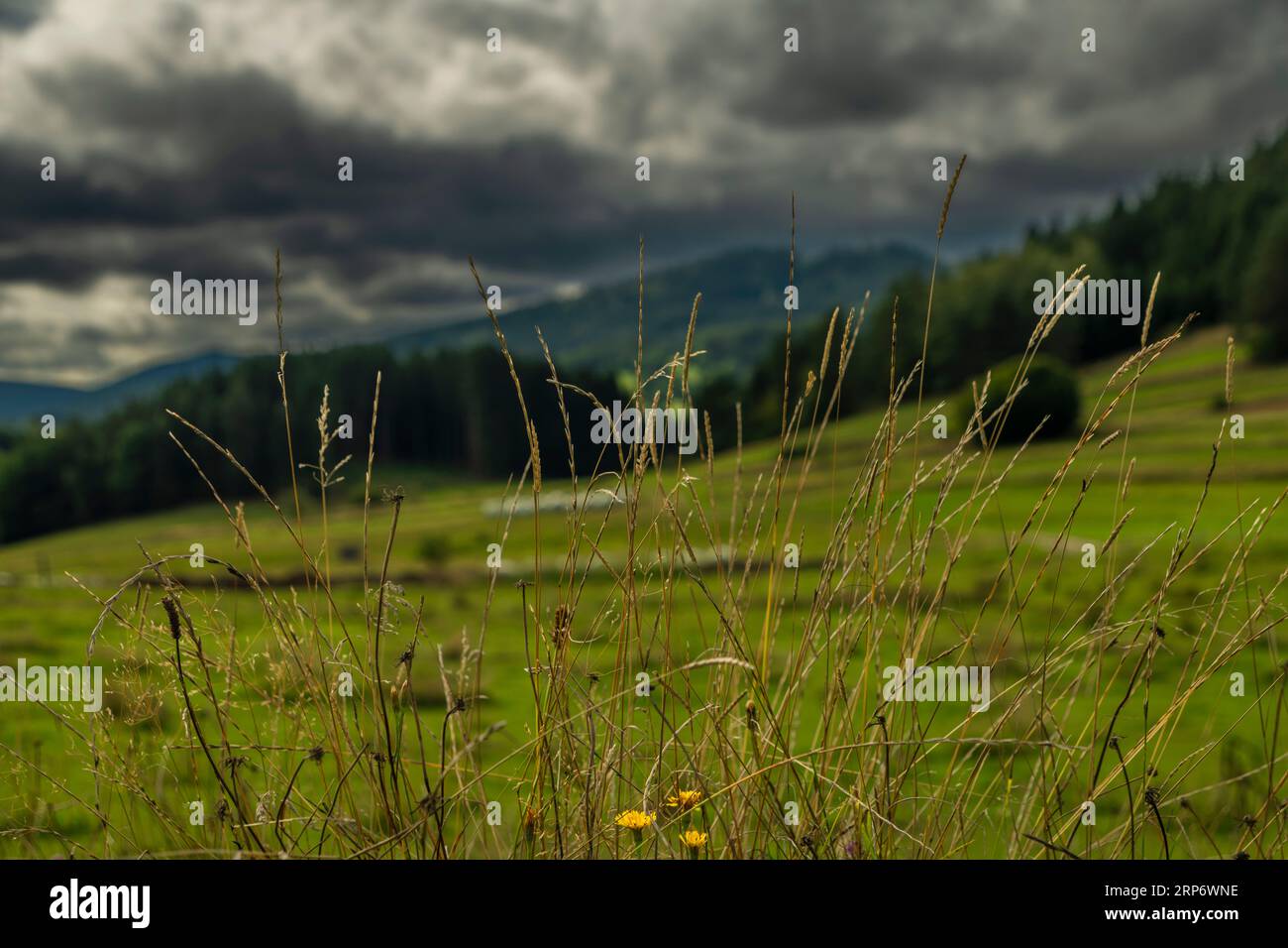 Color pasture lands and meadows in north Austria with dark stormy windy sky Stock Photo