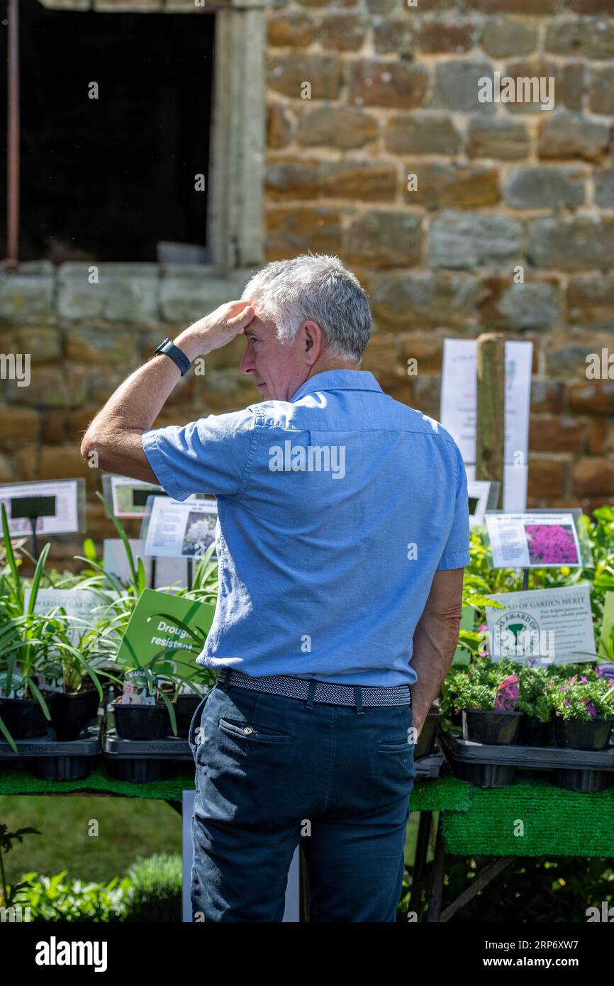 older man looking around and browsing at a garden centre shading his eyes from the bright summer sunshine using his hand. Stock Photo