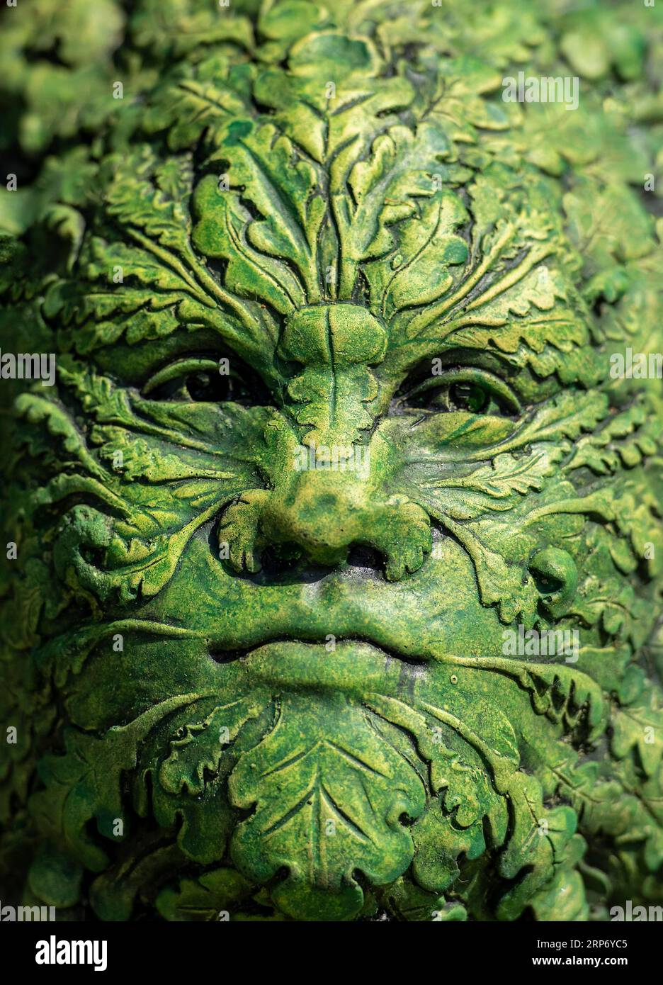 green man garden ornament or decoration with foliate head surrounded by leaves and foliage. Stock Photo