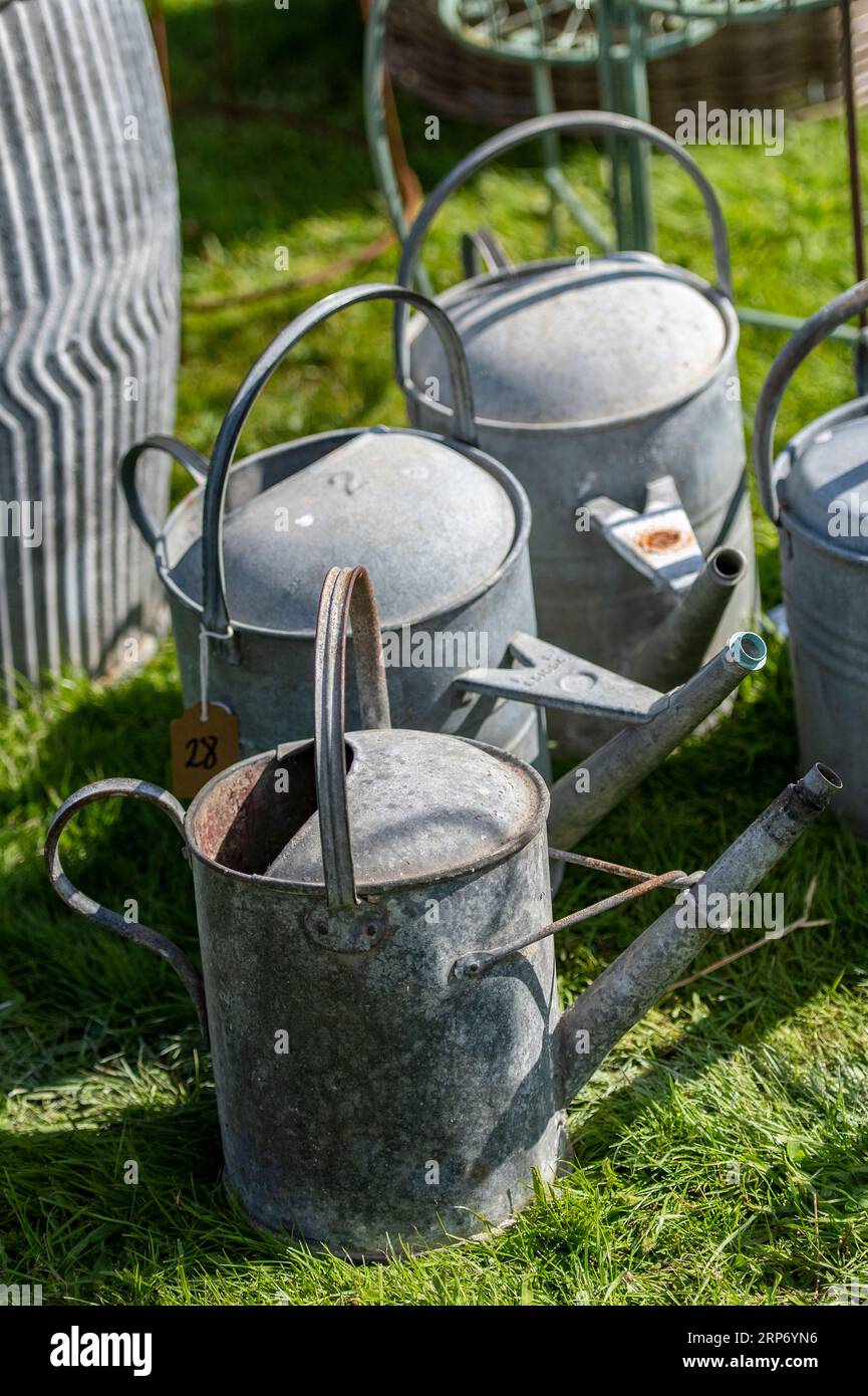 three rustic galvanized vintage metal watering cans on display at a retailer or garden centre selling reclaimed and antique garden items. Stock Photo