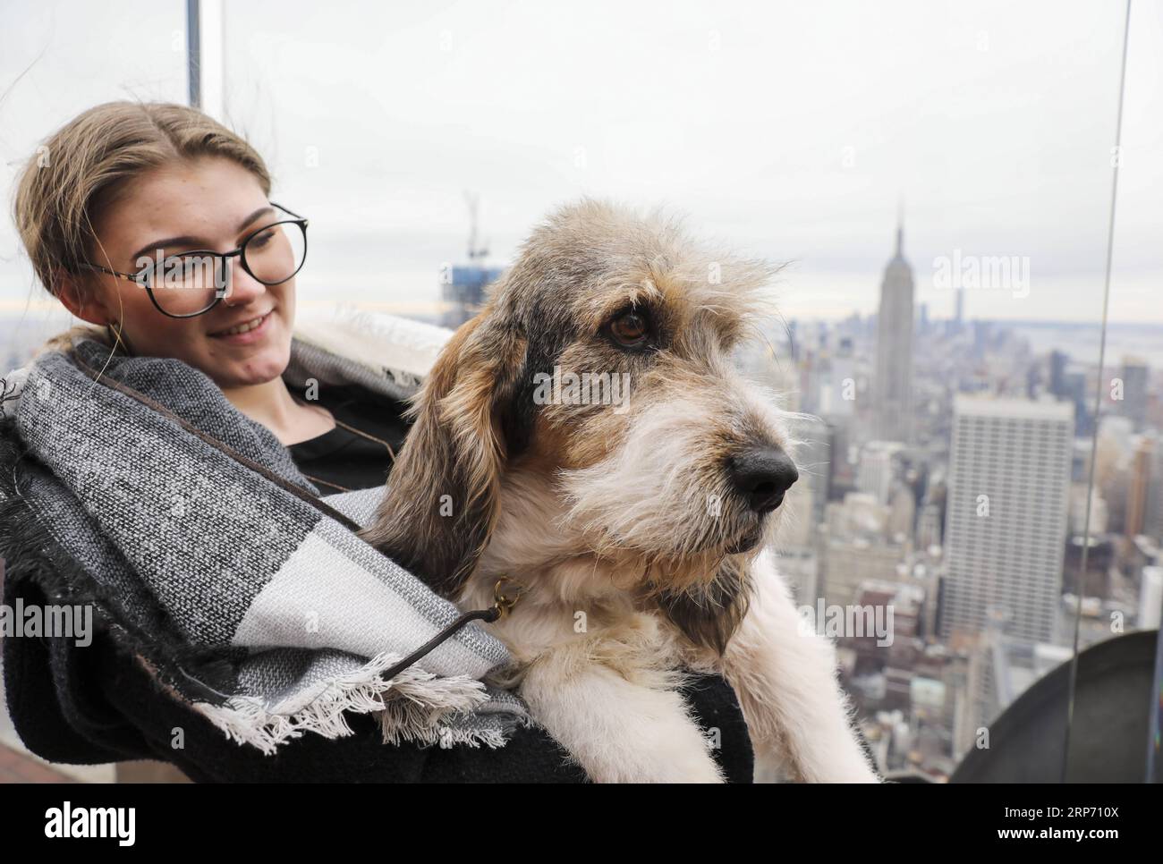 (190123) NEW YORK, Jan. 23, 2019 A Grand Bassett Griffon Vendeen is introduced as a new