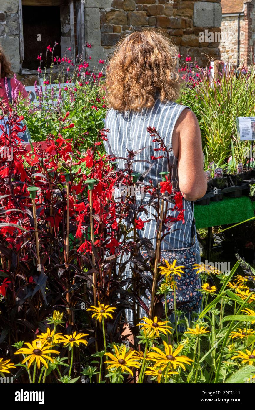 young woman among flowers and plants at a garden fair or garden centre on a summers day choosing and browsing among the stock. Stock Photo