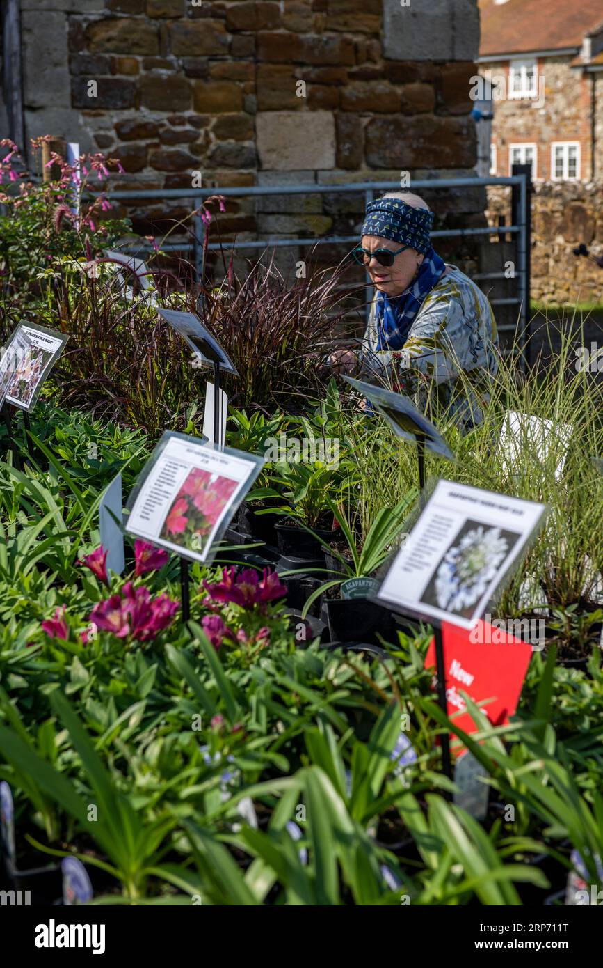 lady or woman choosing plants and browsing the displays of pants and flowers at a garden centre. lady looking at plants and flowers at garden festival Stock Photo