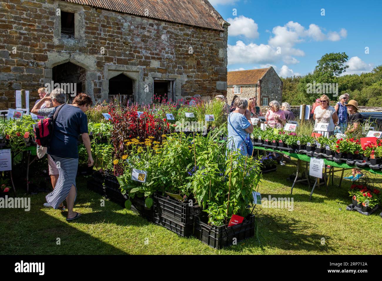 crowds at a garden centre or country fair browsing plants and flowers
