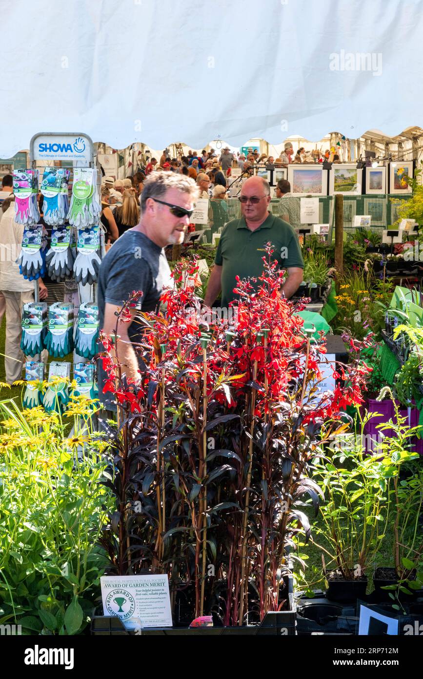 middle aged man looking at plants and flowers at a garden centre on a hot summers day. Stock Photo