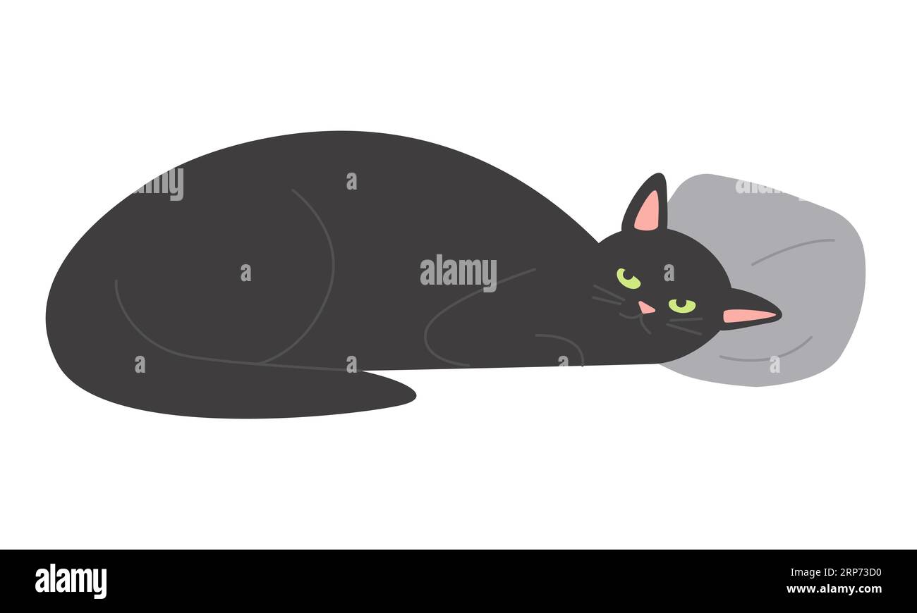 Black cat sleeping on pillow. Fluffy domestic kitten, family pet friend cartoon vector illustration Stock Vector