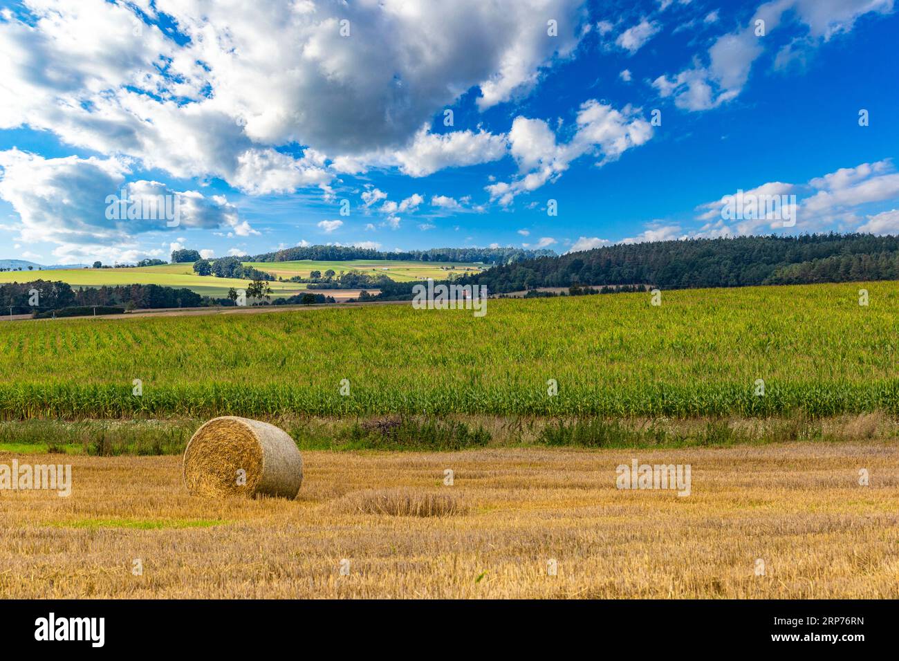 Round hay bale on a field with trees and a farms under a blue cloudy ...