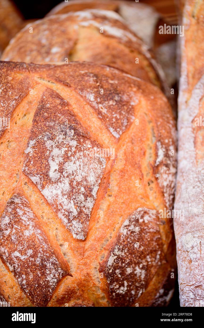 homemade sourdough bread from whole wheat flour Stock Photo Alamy