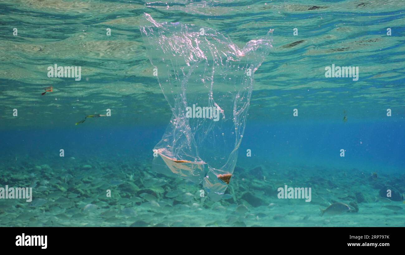 Plastic bag floating underwater. Transparent plastic bag drifts under