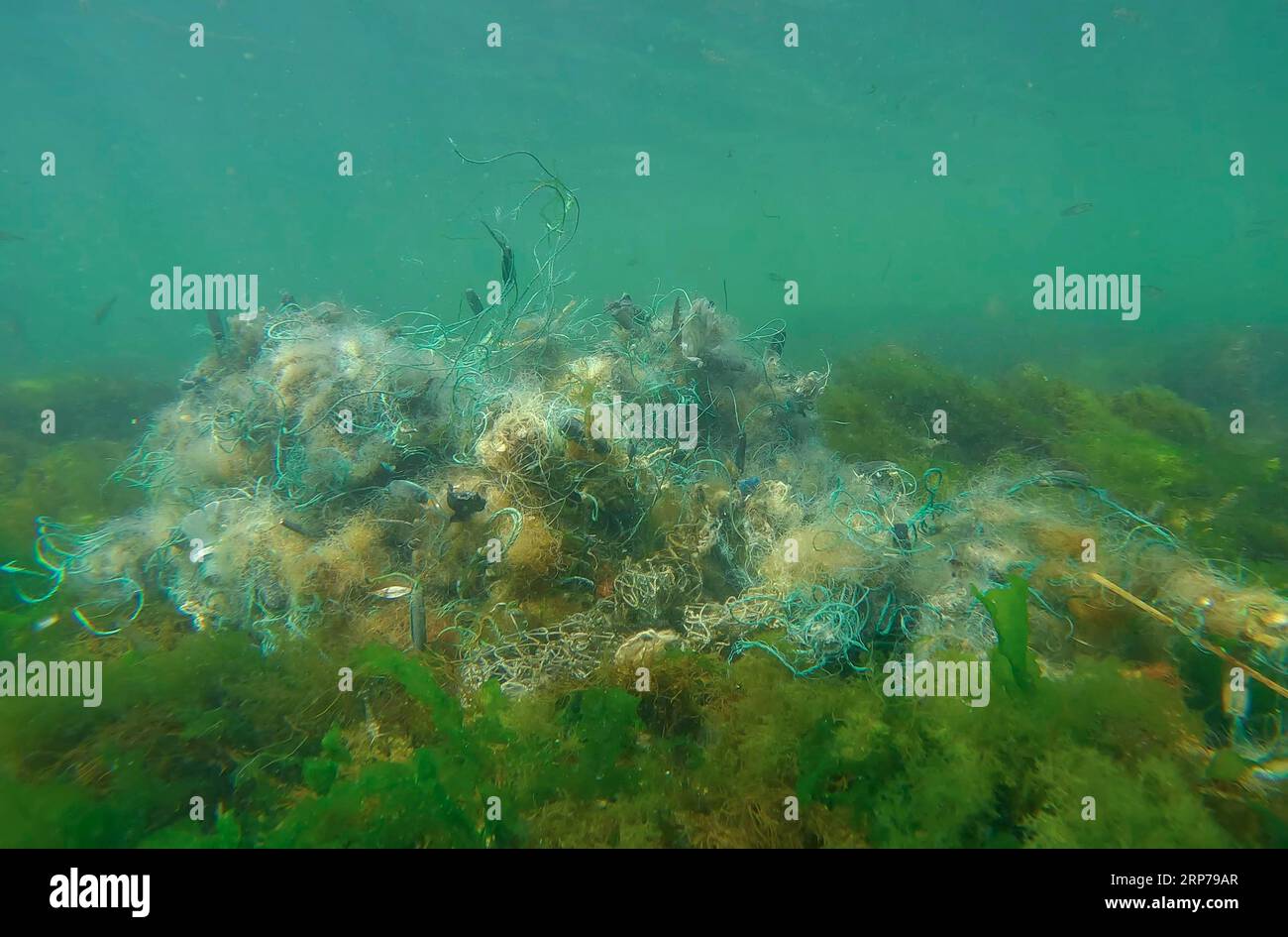 Seabed pollution hi-res stock photography and images - Page 2 - Alamy