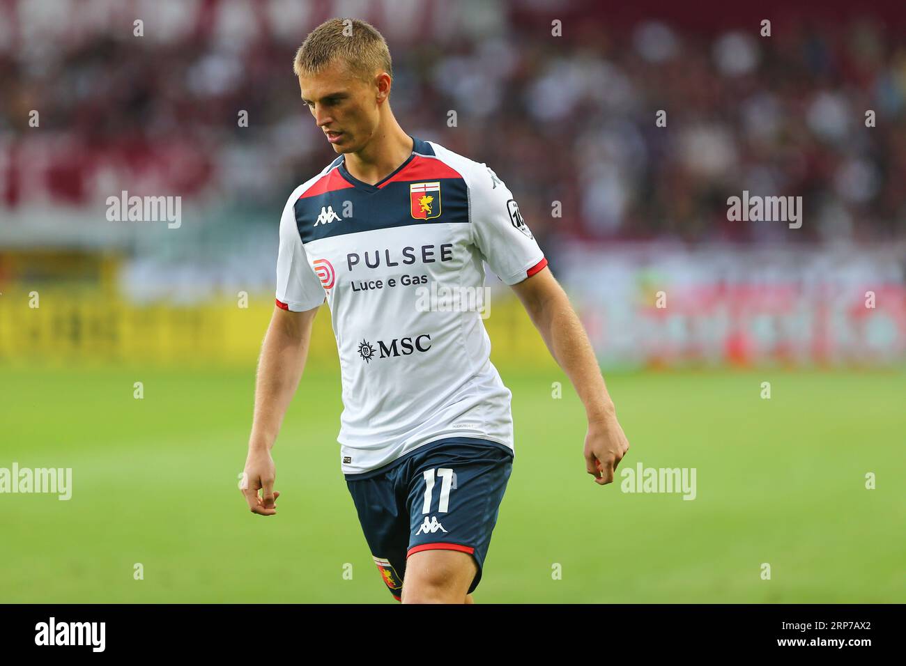 Tardini Stadium 050223 Albert Gudmundsson 11 Editorial Stock Photo - Stock  Image