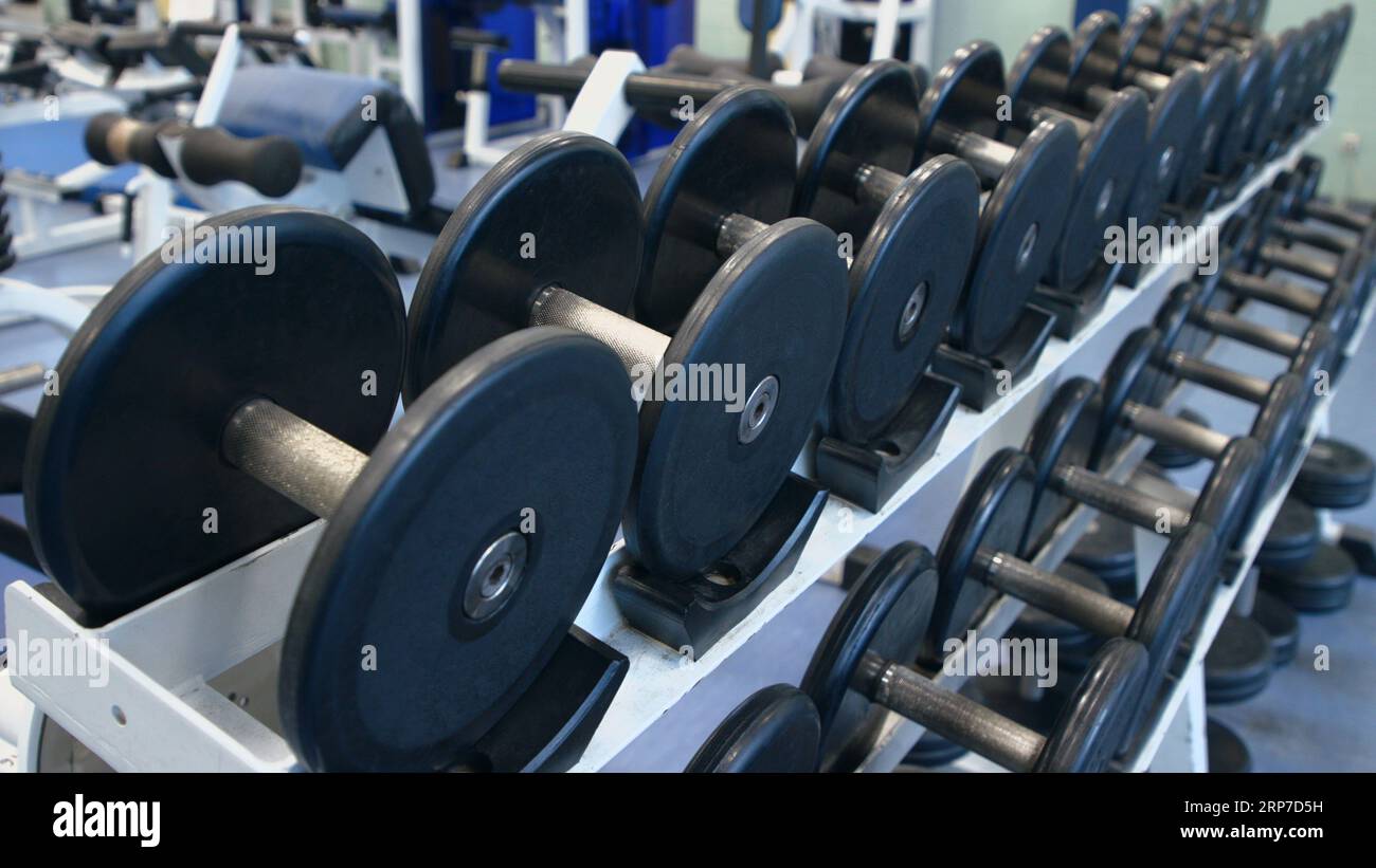 Two rows of dumbbells with black rubberized weight plates in the gym