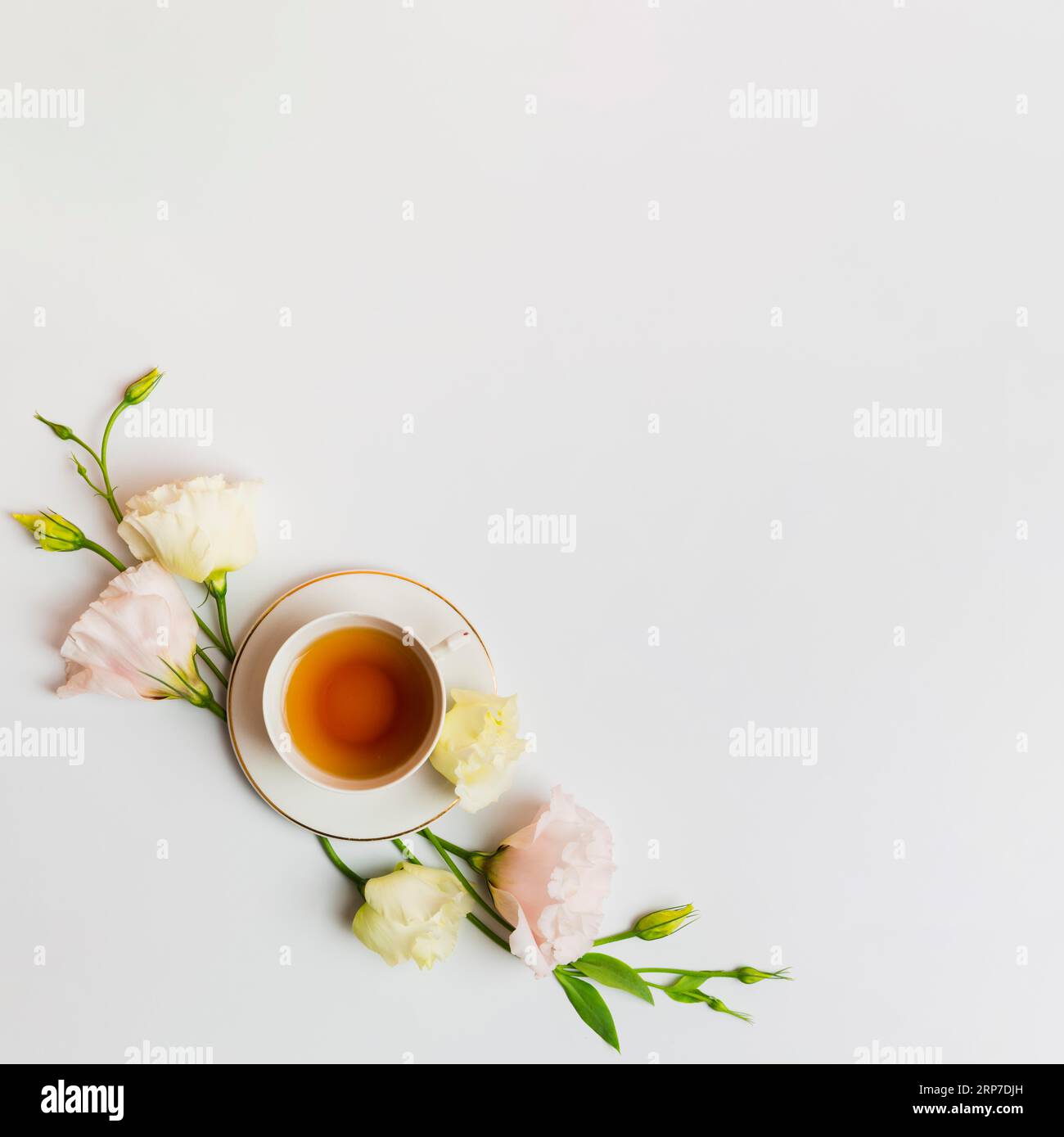 English tea plain background Stock Photo