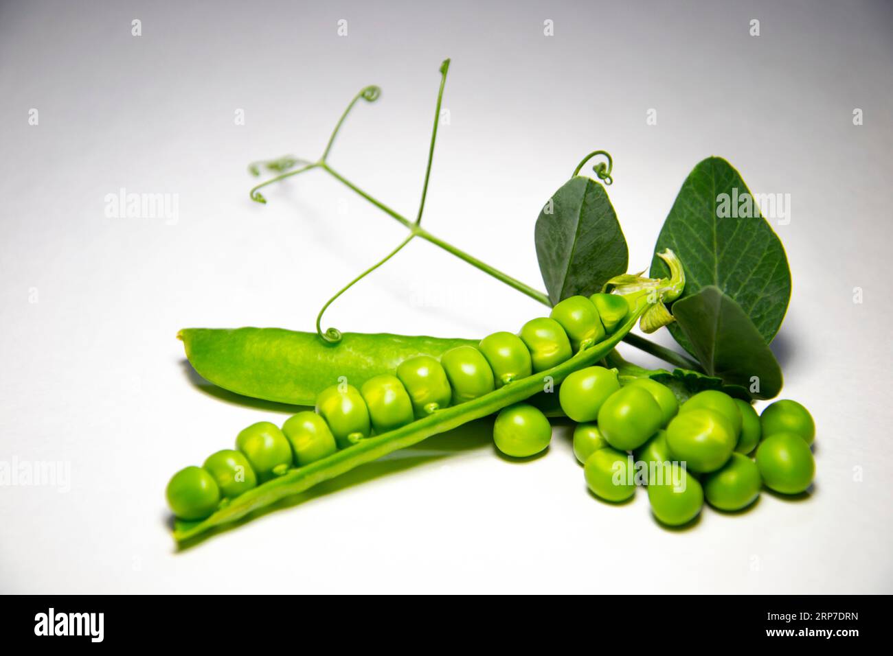 Fresh green peas. Several peas and an open pod on a light background. Close-up. Stock Photo