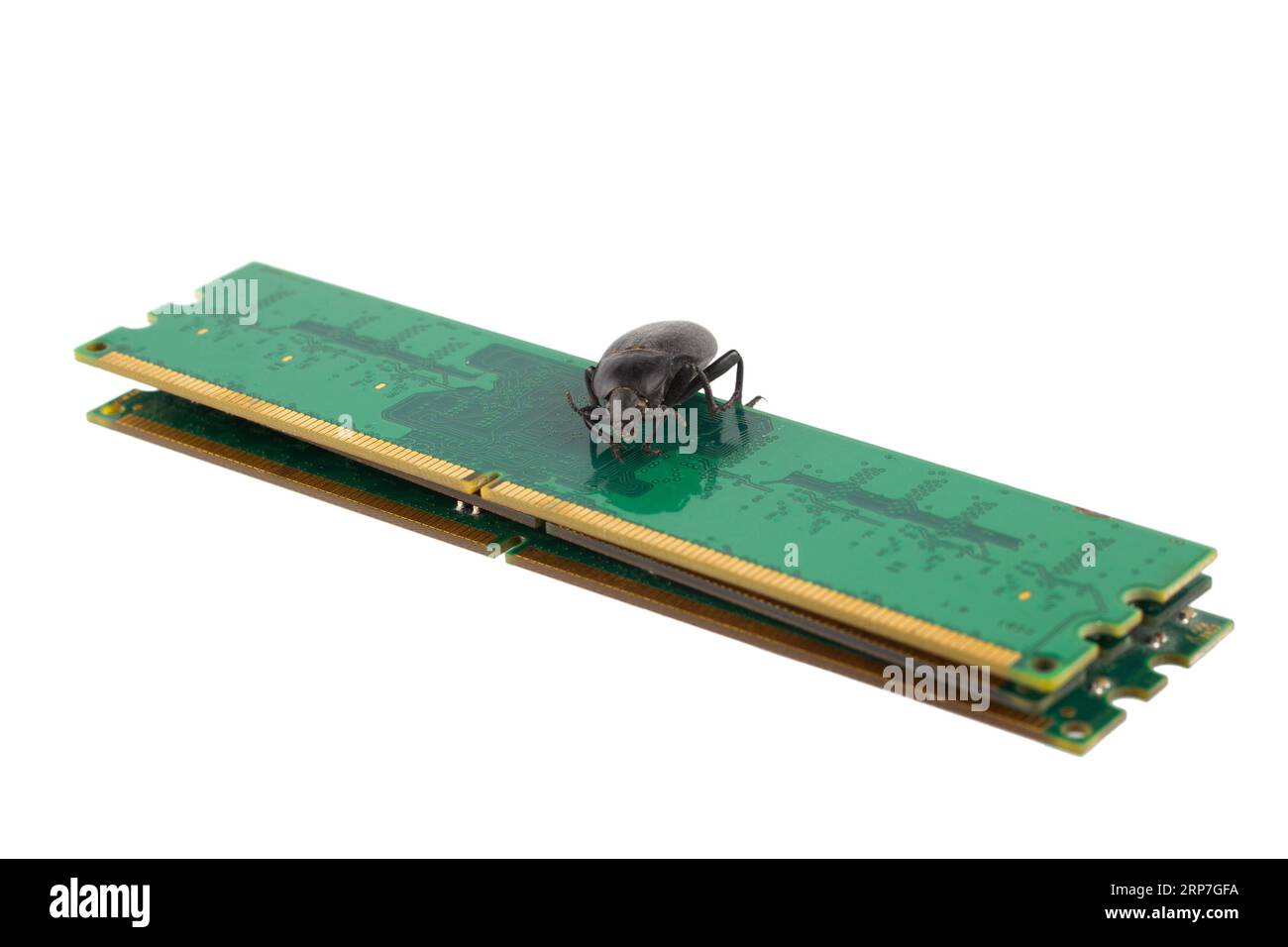 Bug on PC memory module. Computer error concept. Isolated on white ...