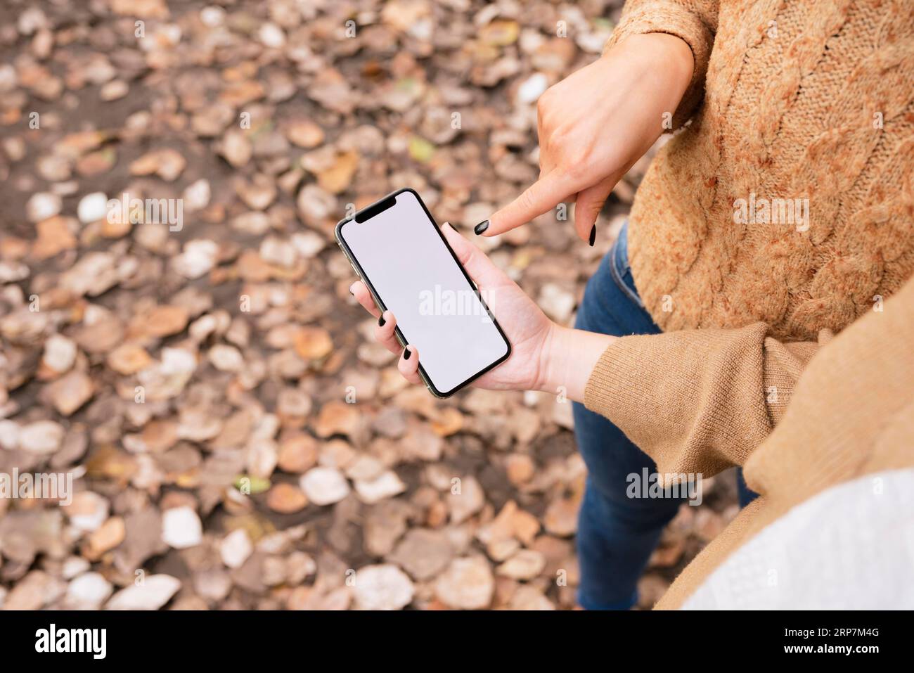 Close up two cell hi-res stock photography and images - Alamy