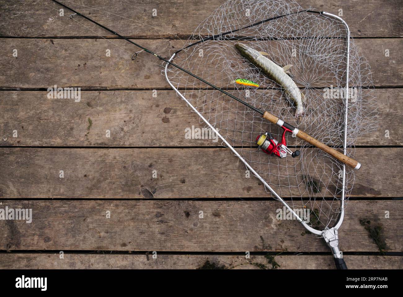Fishing rod caught fish hi-res stock photography and images - Alamy