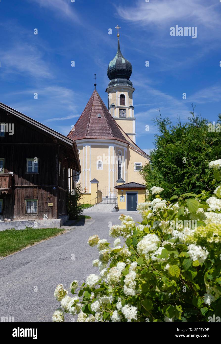 Church of Saint Stephen in Vormoos, Feldkirchen bei Mattighofen, Innviertel, Upper Austria, Austria Stock Photo