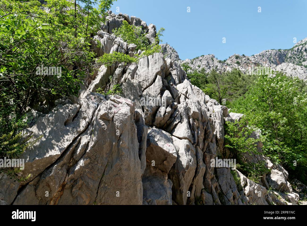 Paklenica National Park in the Velebit limestone mountains in northern Dalmatia. Paklenica Starigrad, Dalmatia, Croatia, Southeast Europe Stock Photo