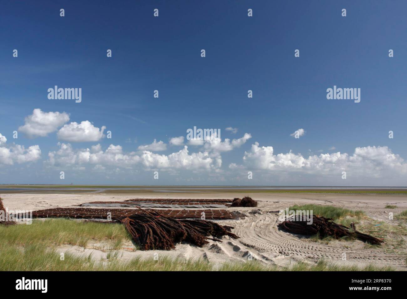 Construction measures on the uninhabited island of Minsener Oog in zone ...