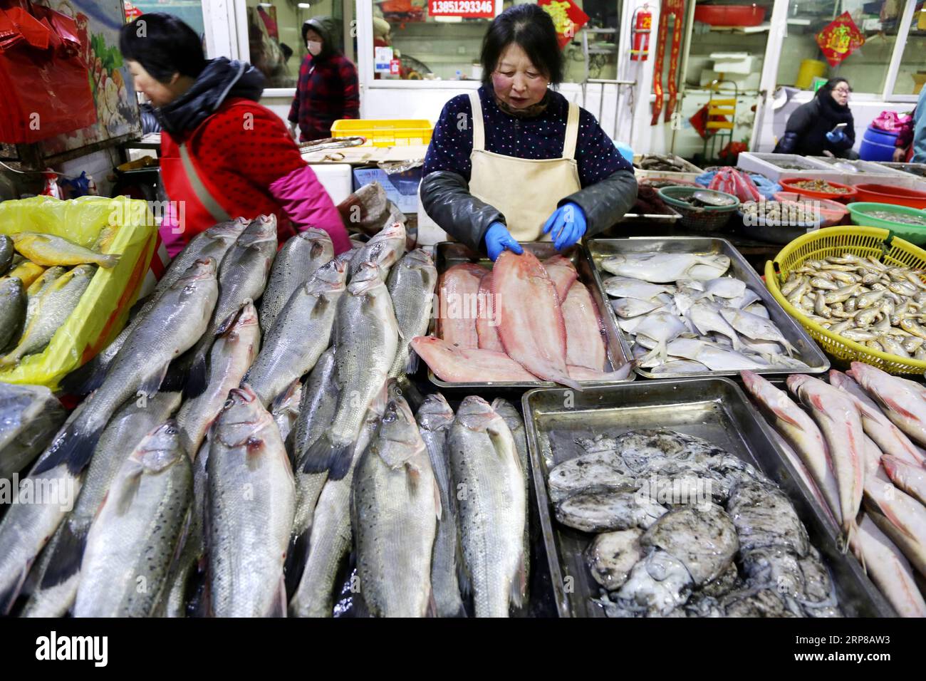 (190225) -- BEIJING, Feb. 25, 2019 -- A vender arranges sea food at a market in Lianyungang, east China s Jiangsu Province, Feb. 15, 2019. China has unveiled a guideline to enhance the accountability system of local governments to strengthen supervision over food safety. Food safety will be included in the performance assessment of the Party and government leading officials, according to the guideline released by the Central Committee of the Communist Party of China (CPC) and the State Council over the weekend. The guideline aims to promote local government s food safety work and improve peopl Stock Photo