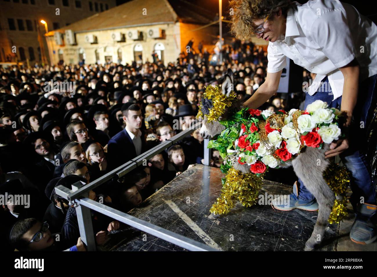 (190226) -- JERUSALEM, Feb. 26, 2019 -- Ultra-Orthodox Jews take part in the ritual Peter Chamor ceremony in Mea Shearim neighborhood in Jerusalem, on Feb. 25, 2019. Peter Chamor , or redemption of the firstborn donkey, is a ceremony where a firstborn donkey is given to the Cohen (Jewish priest) as a gift, then redeemed by the owner of the donkey with a kosher animal or money. Gil Cohen Magen) MIDEAST-JERUSALEM-ULTRA-ORTHODOX JEWS-PETER CHAMOR RITUAL guoyu PUBLICATIONxNOTxINxCHN Stock Photo