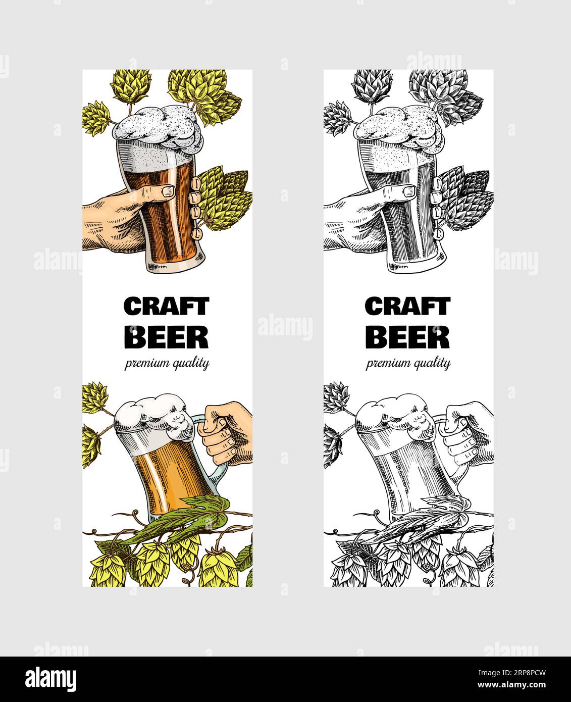 Hop cones and Barley. Malt Beer for poster or banner. Engraved vintage ...