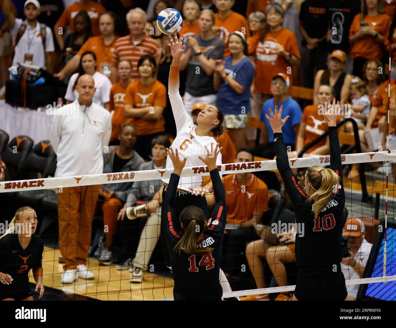 Madisen skinner hires stock photography and images Alamy