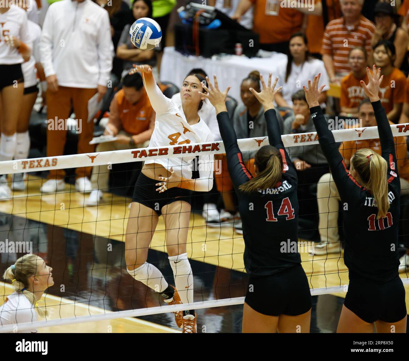 September 3, 2023 Texas opposite hitter Devin Kahahawai (44) at the
