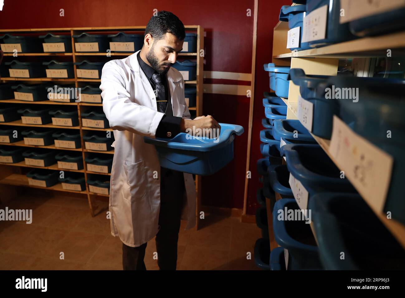 (190326) -- FAYOUM (EGYPT), March 26, 2019 -- A man works in a scorpion farm in Fayoum, Egypt, on March 13, 2019. Hosting more than 3,000 scorpions, the farm is part of a project started by Egyptian youths to extract scorpion venom for both business and scientific research. ) TO GO WITH Feature: Egyptian youth start project extracting scorpion venom for business, scientific research EGYPY-FAYOUM-SCORPION FARM AhmedxGomaa PUBLICATIONxNOTxINxCHN Stock Photo