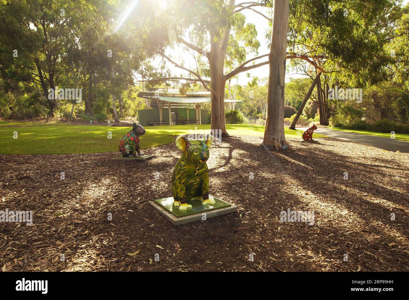 (190329) CANBERRA, March 29, 2019 Koala statues are seen at the