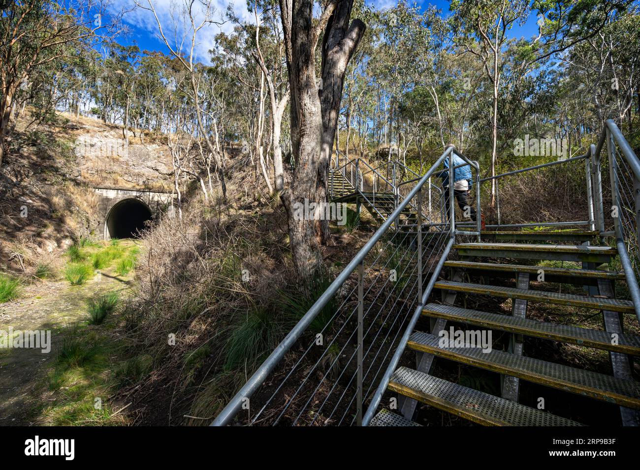 Stairs giving access to the eastern entrance of the heritage listed