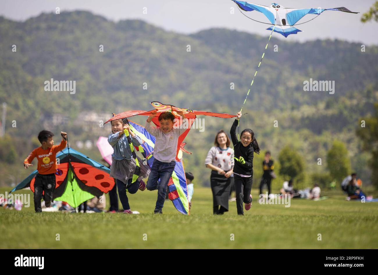 Crianças Asiáticas Indo Em Saída De Primavera E Voando Peixes Dourados E  Papagaios De Águia No Festival De Qingming. Tradução: Festival De Qingming.  A Clareza E Brilho Do Cenário Da Primavera Trazem