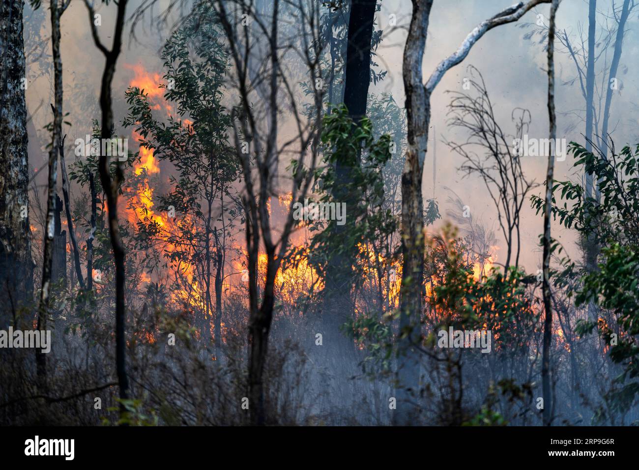 Control burn australia hi-res stock photography and images - Alamy