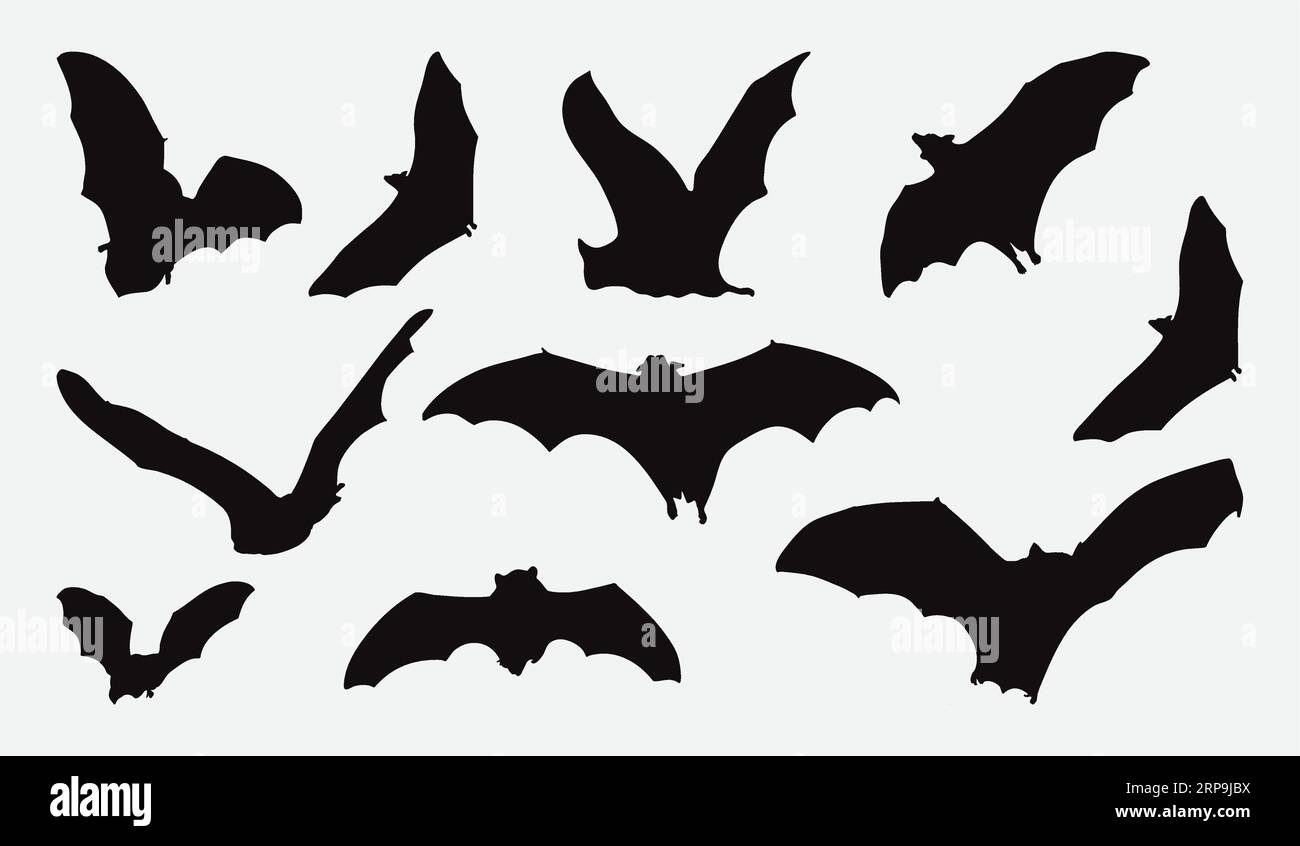 Enchanting Collection of Intricate Bat Silhouettes, Vector ...