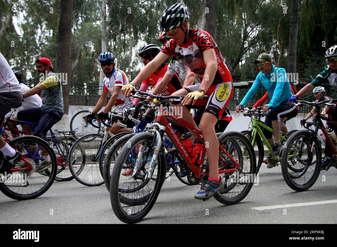 Nanaga mountain cheap bike race 2019