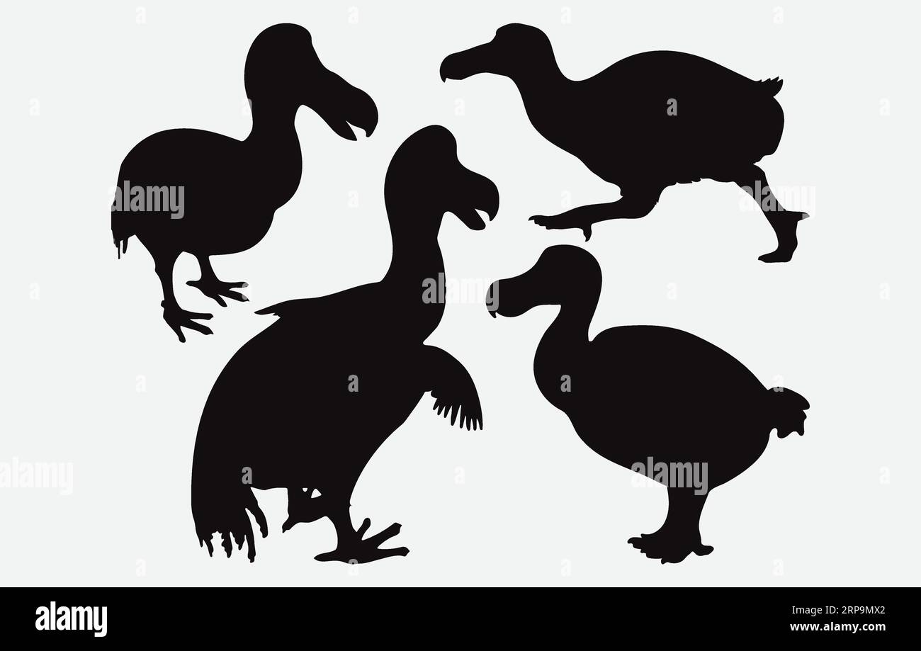 Exquisite Collection of Dodo Bird Silhouettes, Graceful Avian Illustrations in Various Poses Stock Vector