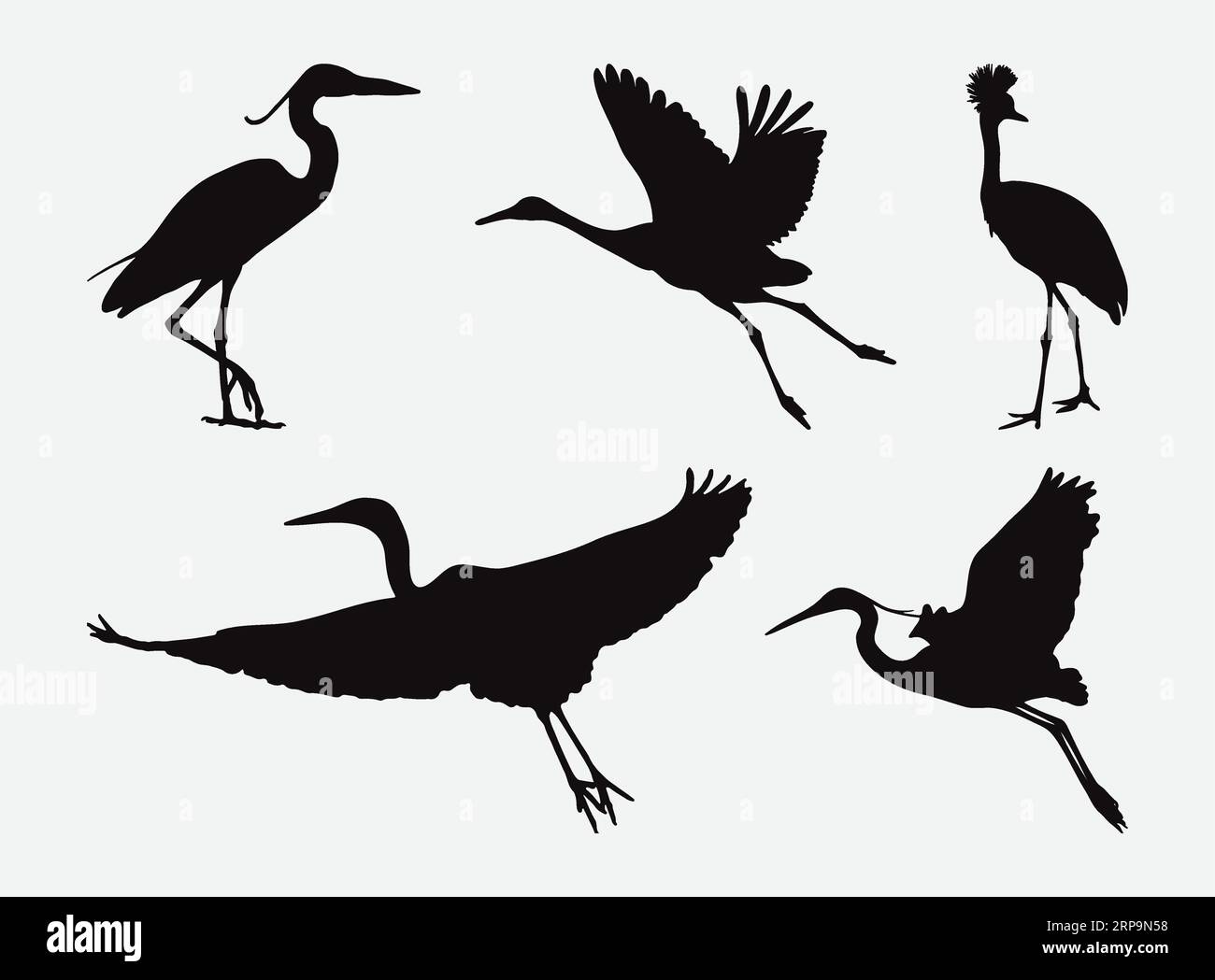 Coastal symbolism Stock Vector Images - Alamy