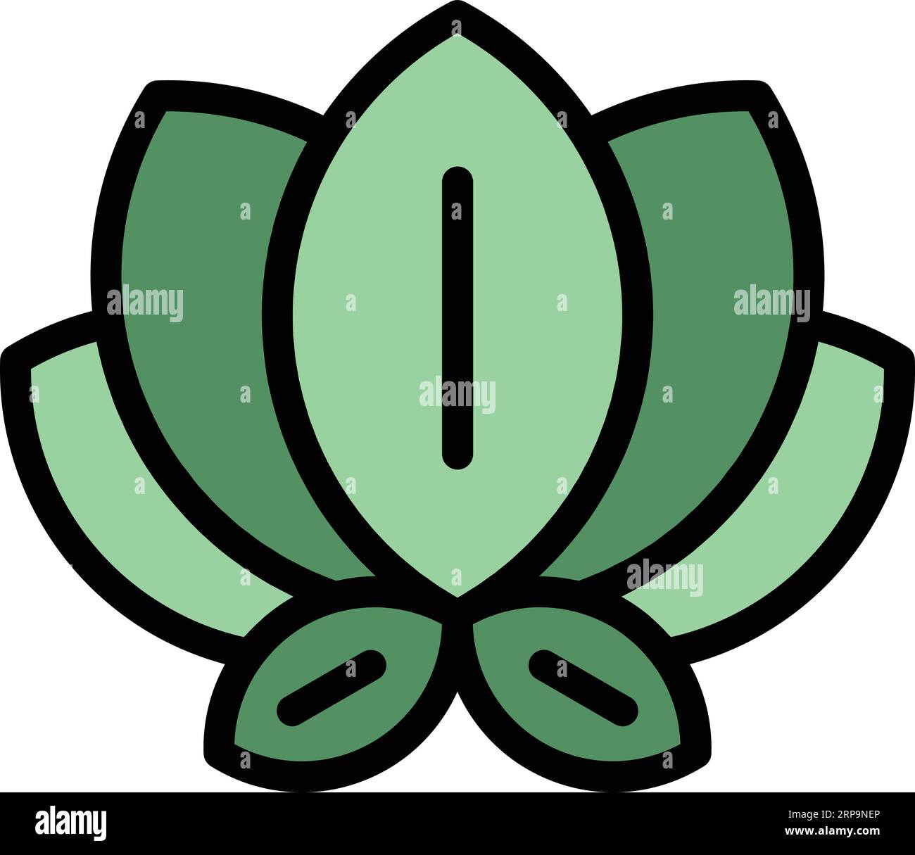 Lotus flower icon outline vector. Natural oil. Diet food color flat