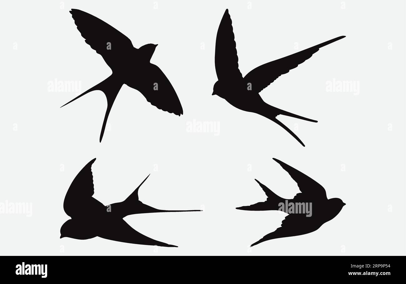 Bird in flight illustration hi-res stock photography and images - Alamy