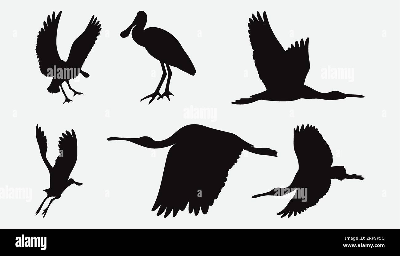 Wetland birds Stock Vector Images - Alamy