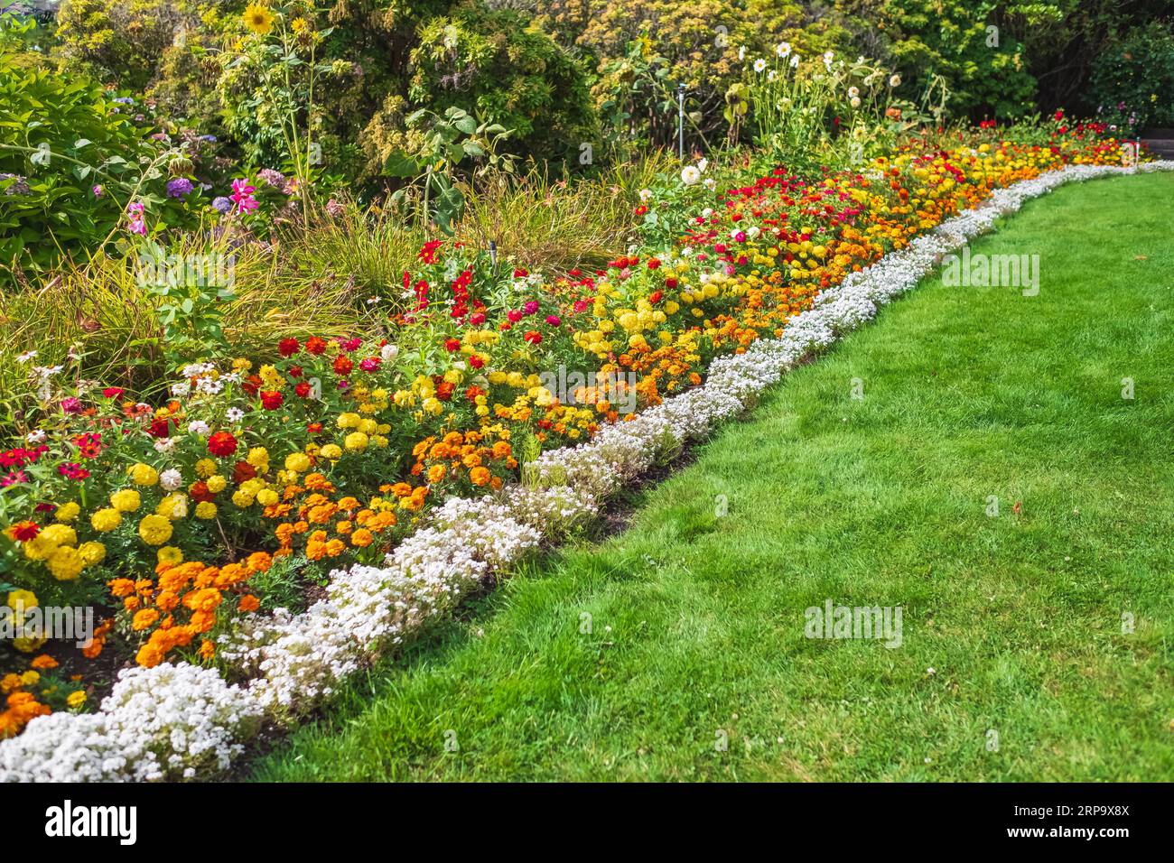 View of a beautiful garden with grass lawn and flowers in bloom. Lush ...