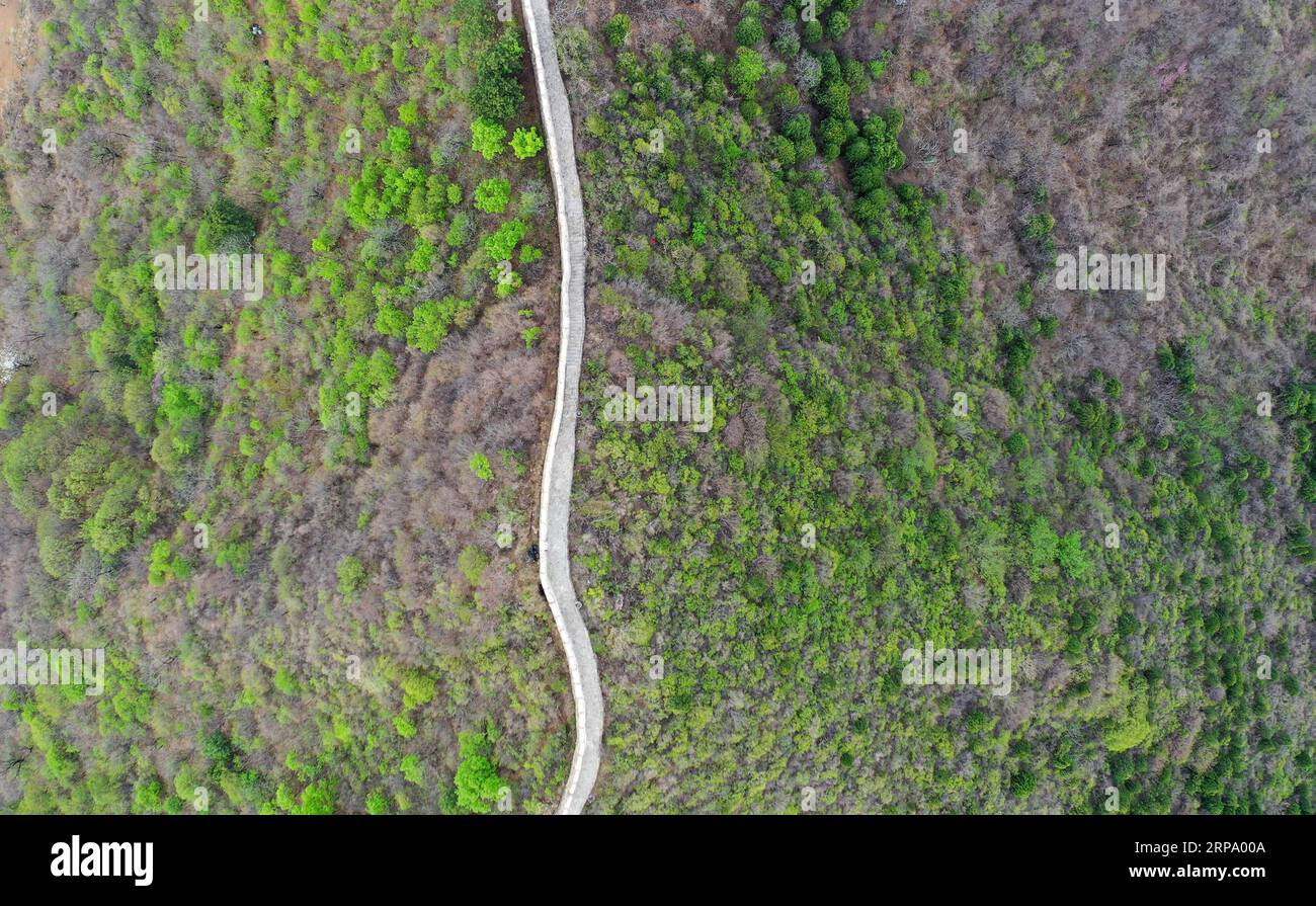 (190420) -- TIANJIN, April 20, 2019 (Xinhua) -- Aerial photo taken on April 18, 2019 shows the Huangyaguan Great Wall in the northern suburb of Tianjin, north China. The Huangyaguan Great Wall was built more than 14 centuries ago for border defense purpose. The structure winds its way for about 3,000 meters along the mountain areas of today s Jizhou District on the outskirts of Tianjin. (Xinhua/Li Ran) CHINA-TIANJIN-HUANGYAGUAN GREAT WALL (CN) PUBLICATIONxNOTxINxCHN Stock Photo