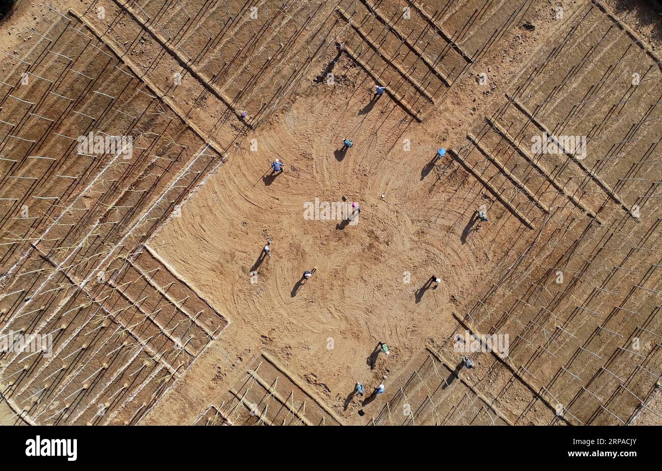 (190504) -- SHIJIAZHUANG, May 4, 2019 (Xinhua) -- Aerial photo taken on May 2, 2019 shows workers planting trees at the site of ecological restoration project on Jinling iron mine in Caiyuan Township of Qian an City, north China s Hebei Province. Local government has devoted to the reclamation and afforestation of mine areas in recent years. (Xinhua/Yang Shiyao) CHINA-HEBEI-QIAN AN-MINE-ECOLOGICAL RESTORATION (CN) PUBLICATIONxNOTxINxCHN Stock Photo