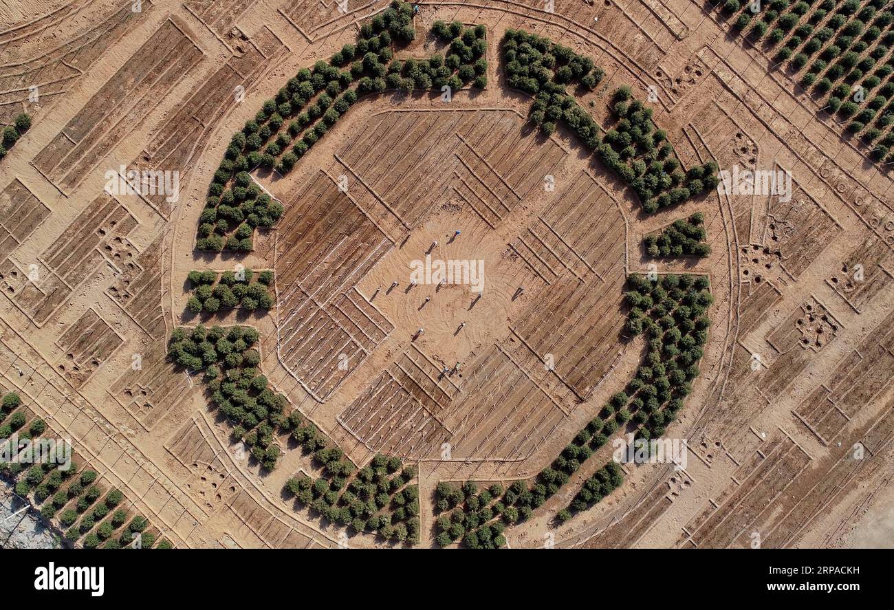 (190504) -- SHIJIAZHUANG, May 4, 2019 (Xinhua) -- Aerial photo taken on May 2, 2019 shows workers planting trees at the site of ecological restoration project on Jinling iron mine in Caiyuan Township of Qian an City, north China s Hebei Province. Local government has devoted to the reclamation and afforestation of mine areas in recent years. (Xinhua/Yang Shiyao) CHINA-HEBEI-QIAN AN-MINE-ECOLOGICAL RESTORATION (CN) PUBLICATIONxNOTxINxCHN Stock Photo